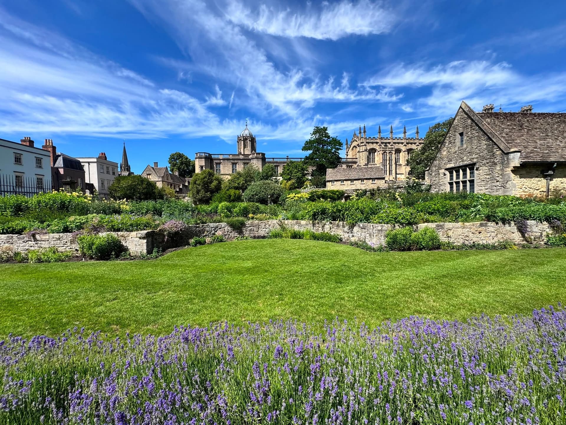 Lavender blooms in front of an Oxford college in the sun.
